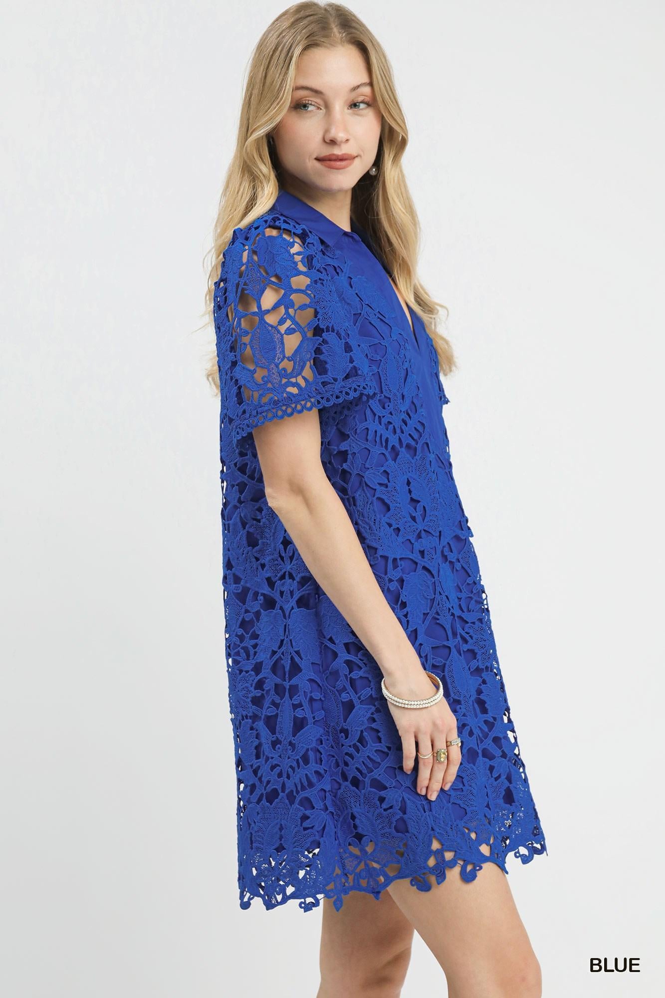 Woman wearing a blue lace dress on a white background