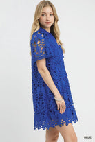 Woman wearing a blue lace dress on a white background