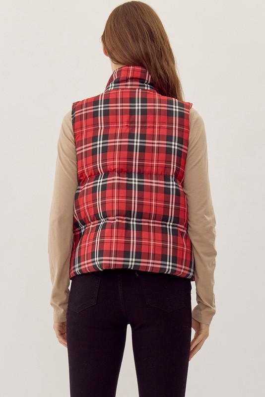 Person wearing a red plaid vest on a plain background, Back View